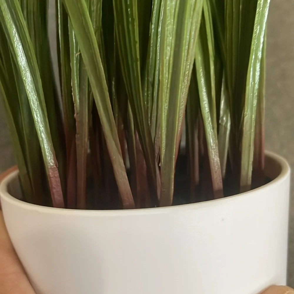 Target Green and White Faux Tall Grass Potted Floral Accent